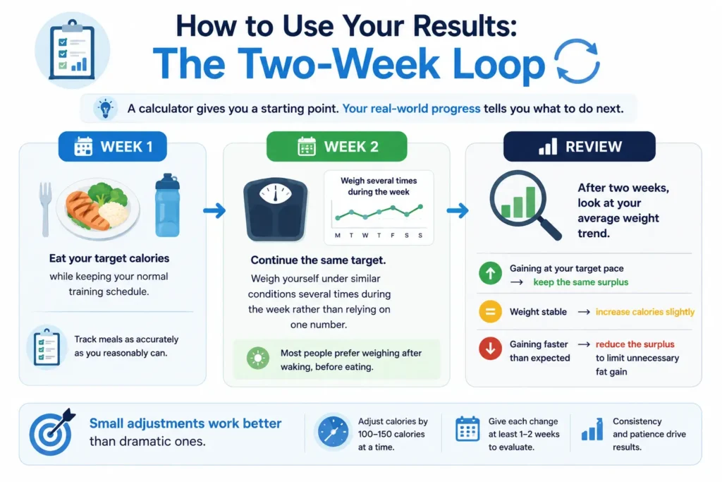 Calorie-Calculator-to-Gain-Weight-Your-Results-The-Two-Week-Loop