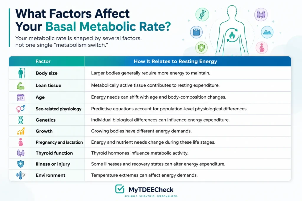Factors Affect Your Basal Metabolic Rate 