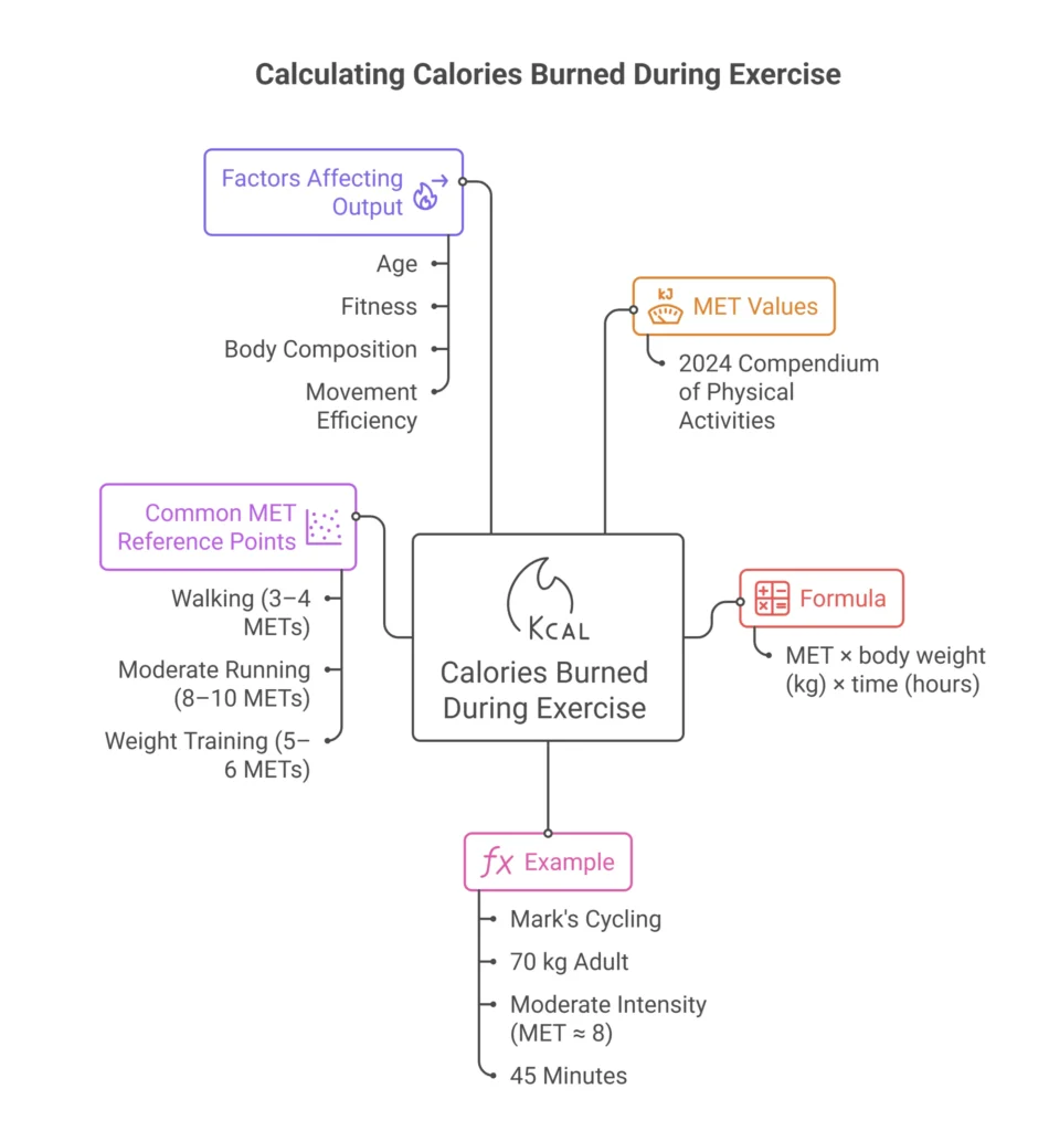 Calculate Calories Burning During Exercise